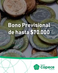 bono_1