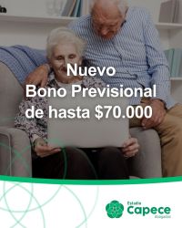 BONO_1